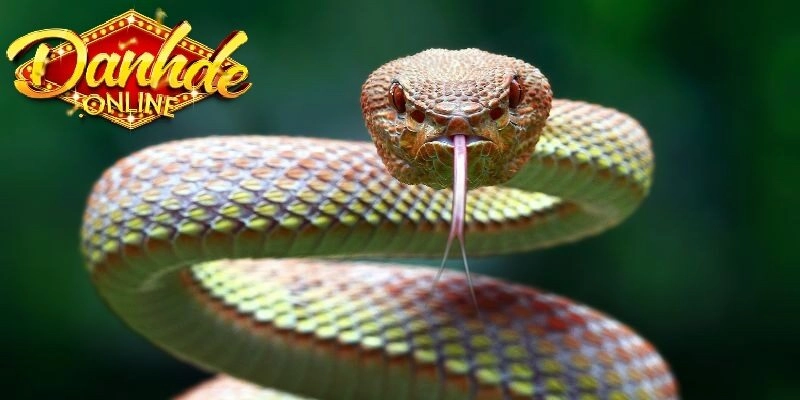 Lưu Ý Khi Áp Dụng Giải Mã Giấc Mơ Vào Thực Tế